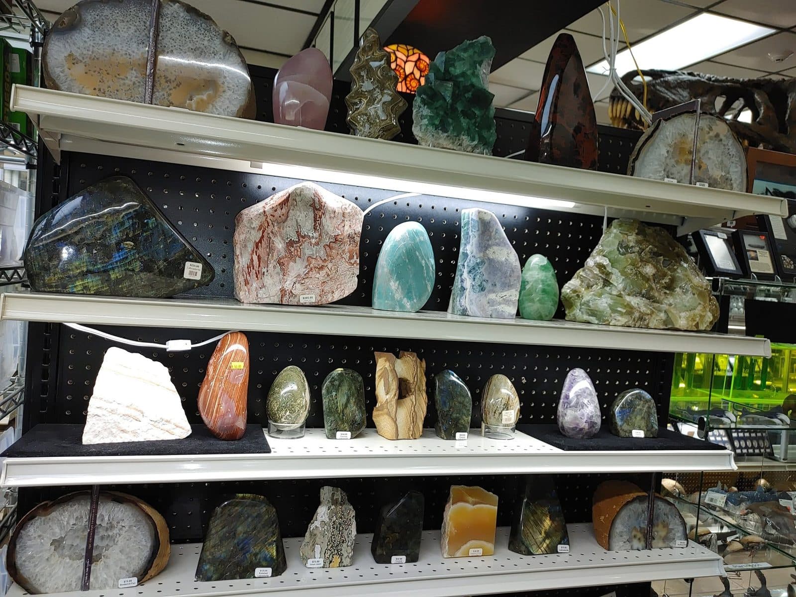 Polished minerals and crystals on the shelves at Prehistoric Fossils in Branson
