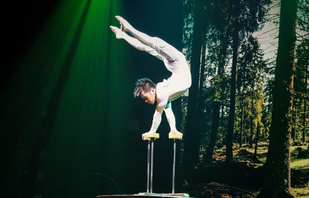 Hand balancing act on canes at the Amazing Acrobats of Shanghai in Branson