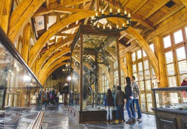 Ancient Ozarks Natural History Museum in Branson, Missouri
