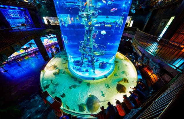 Wonders of Wildlife in Branson, Missouri