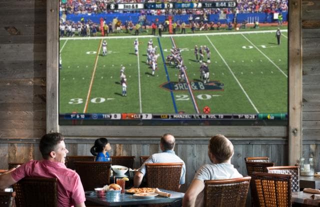 Fun Mountain at Big Cedar Lodge in Branson, Missouri