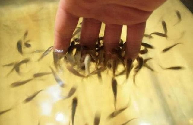 Branson's Wild World in Branson, Missouri