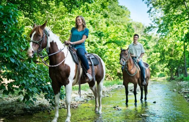 Dogwood Canyon Nature Park in Branson, Missouri