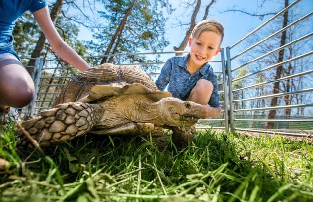 Branson's Promised Land Zoo in Branson, Missouri