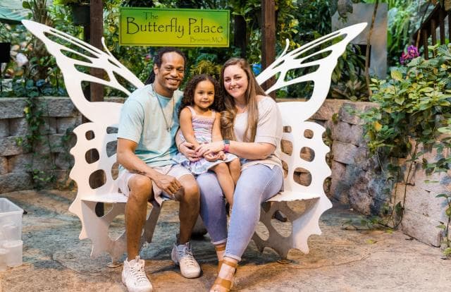 Butterfly Palace & Rainforest Adventure in Branson, Missouri